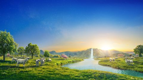 Come comprendere che Cristo è la verità, la via e la vita?