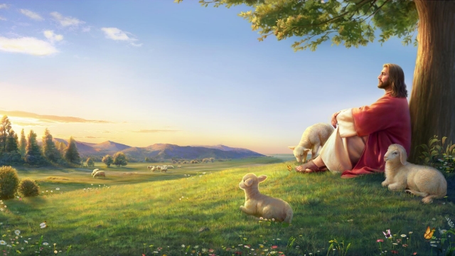 La parabola della pecorella smarrita mi ha permesso di comprendere la volontà di Dio di salvarci