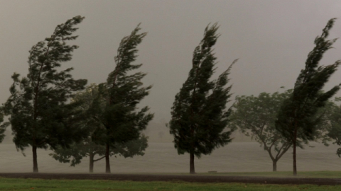 Sono sopravvissuta miracolosamente a una devastante tempesta illesa