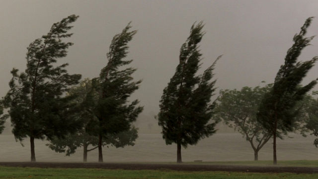 Sono sopravvissuta miracolosamente a una devastante tempesta illesa