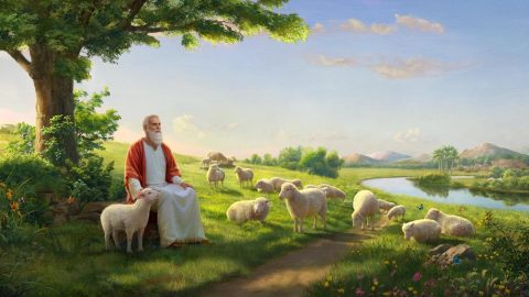 Le orecchie di Giobbe sentono parlare di Dio (Parte 2)