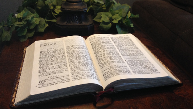 Omelia di oggi: avete trovato la via che porta alla rinascita?