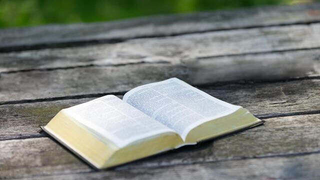 Commento al vangelo del giorno: una volta salvati, saremo sempre salvati?