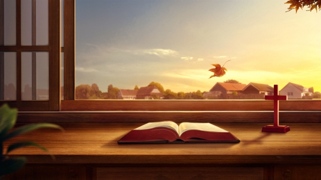 Perché non si ottiene la vita eterna se si difende la Bibbia e la si venera