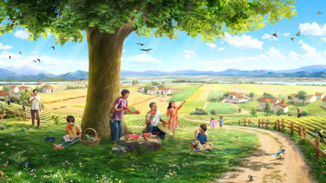 Prima storia: Un seme, la terra, un albero, la luce del sole, gli uccelli e l’uomo