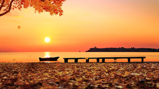 In autunno, il sole tramonta e la terra è coperta di foglie cadute.