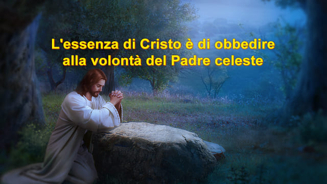 La sostanza di Cristo è l’obbedienza alla volontà del Padre celeste