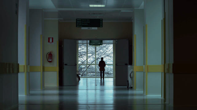 qual è il senso della vita