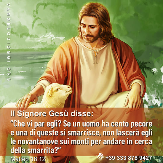 Il-Signore-cerca-pecora-smarrita