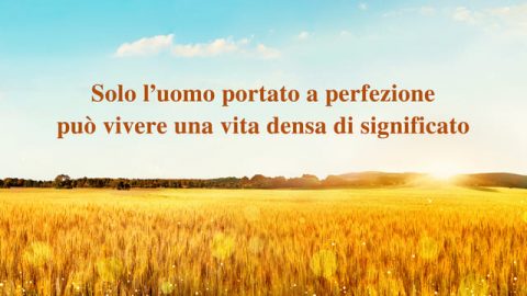 uomo perfetto vita significativa