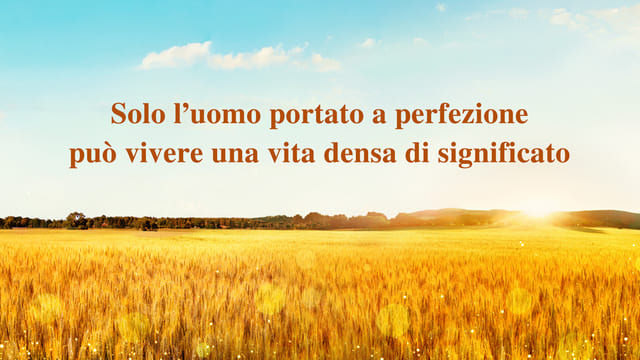 Solo l’uomo portato a perfezione può vivere una vita densa di significato