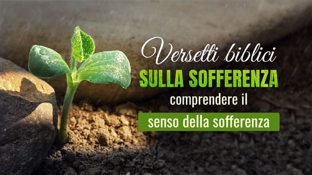 Versetti biblici sulla sofferenza: comprendere il senso della sofferenza
